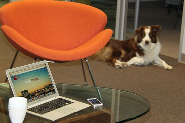 Dynamic Concepts Interior