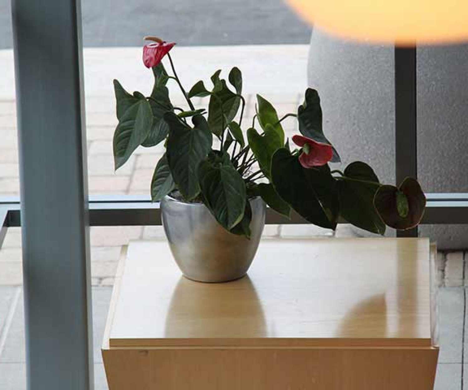 Dynamic office