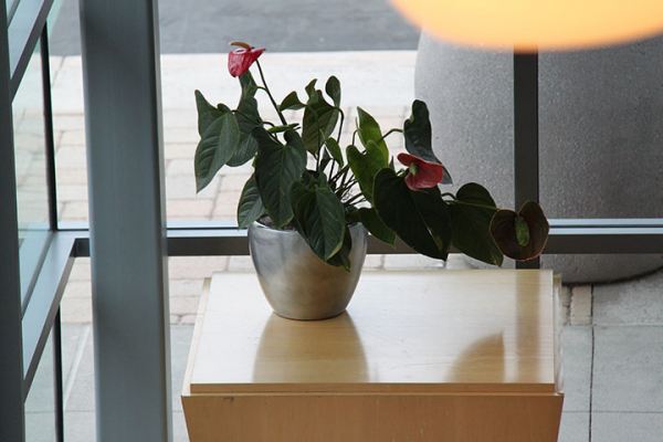 Dynamic Concepts Interior