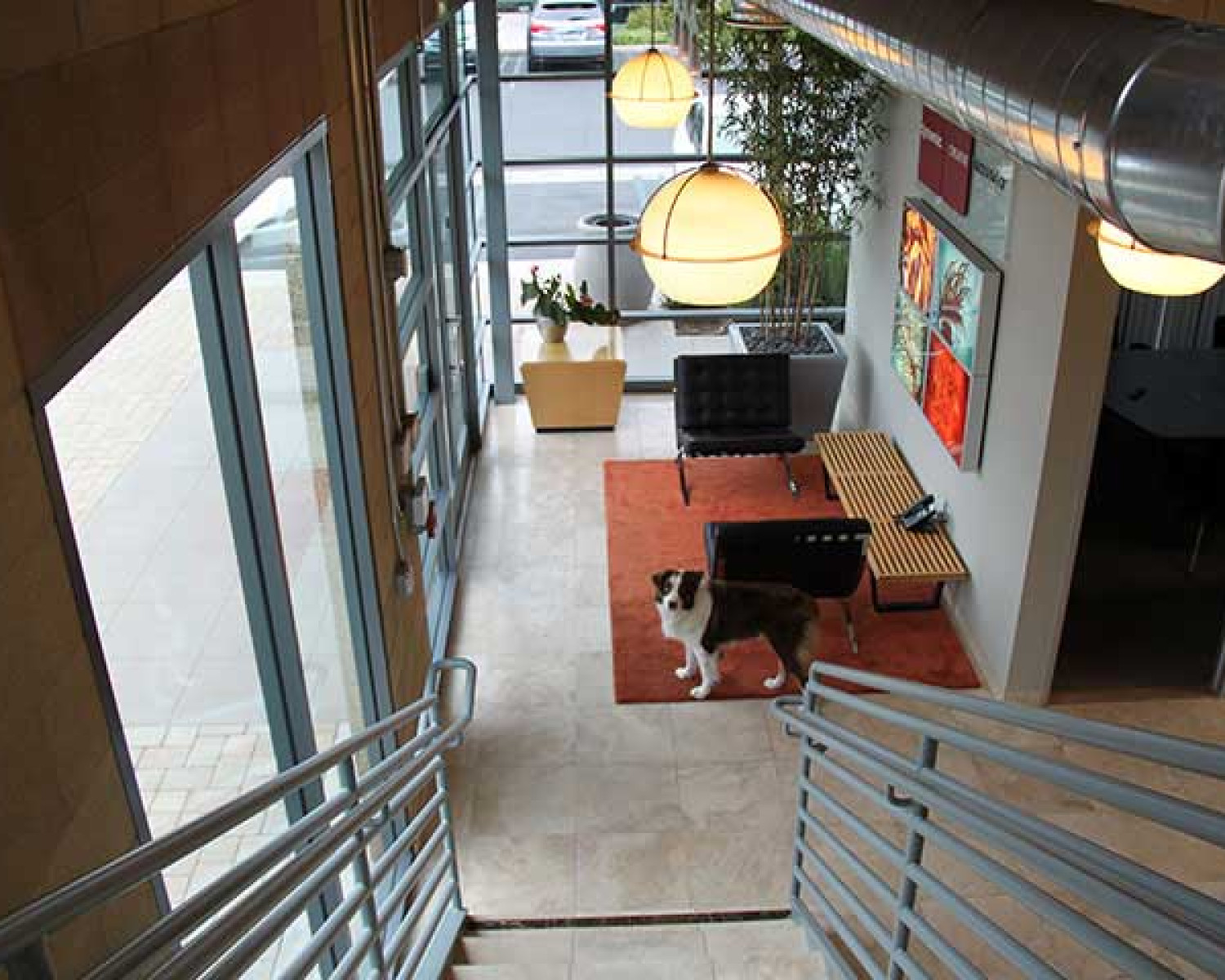 Web Design Orange County