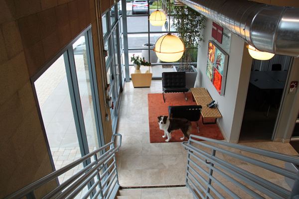 Dynamic Concepts Reception Area