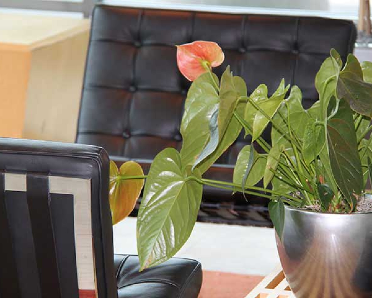 Creative Technology Orange County