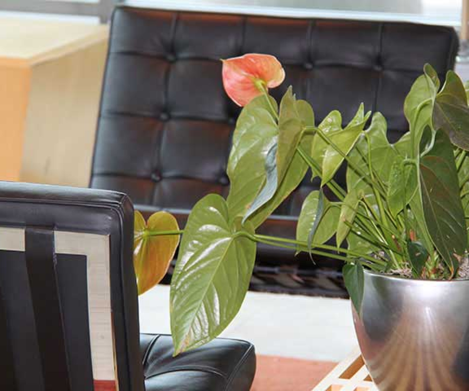 Creative Technology Orange County
