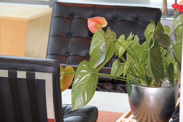 Dynamic Concepts Main Entrance