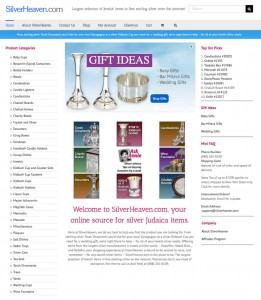 Website development